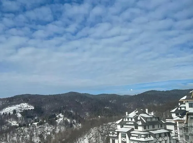 Vidik アパート コパオニク